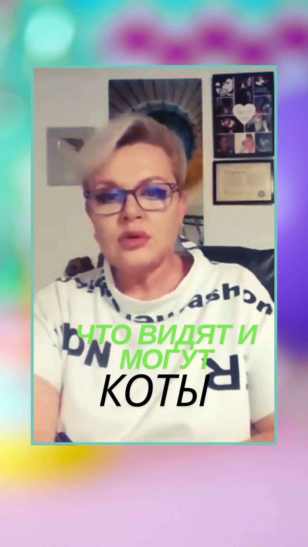 Дивные животные котики #лилиянор #ясновидение #любовь